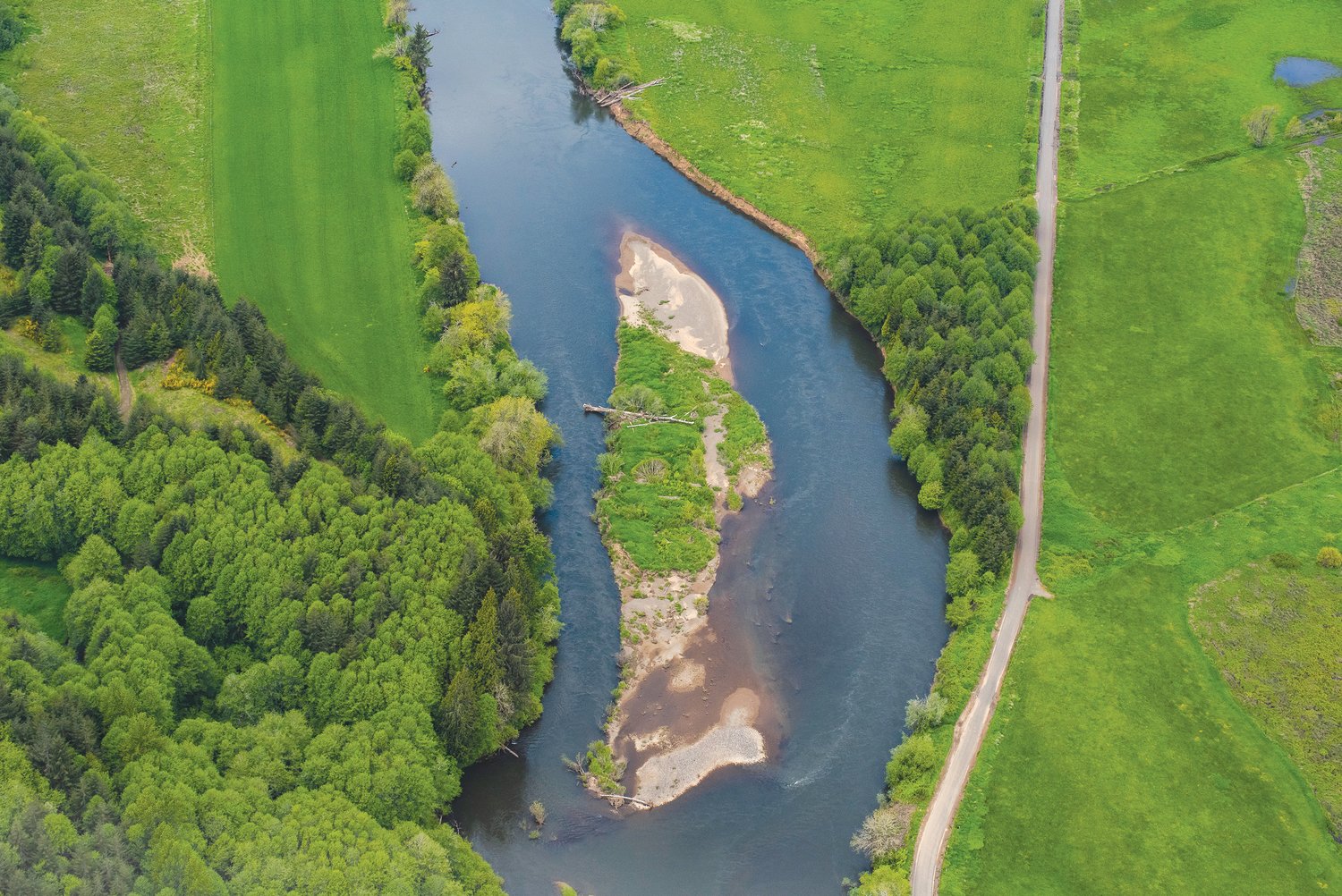 The Chehalis River is seen from above. Woody debris and noxious weeds can catch on these islands formed when the river splits.